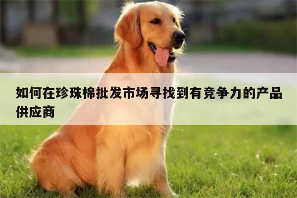 如何在珍珠棉批发市场寻找到有竞争力的产品供应商