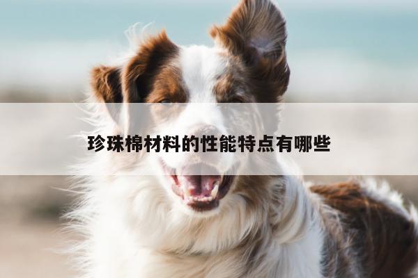 珍珠棉材料的性能特点有哪些