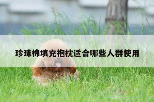 珍珠棉填充抱枕适合哪些人群使用