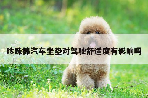 珍珠棉汽车坐垫对驾驶舒适度有影响吗