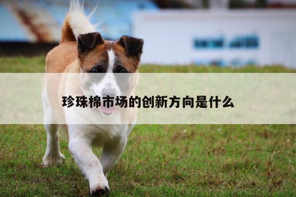 珍珠棉市场的创新方向是什么