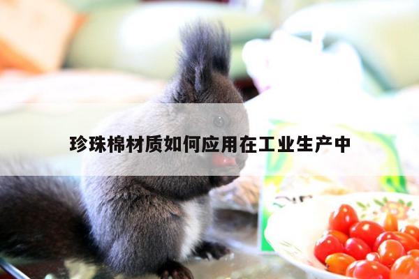 珍珠棉材质如何应用在工业生产中