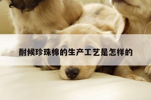 耐候珍珠棉的生产工艺是怎样的