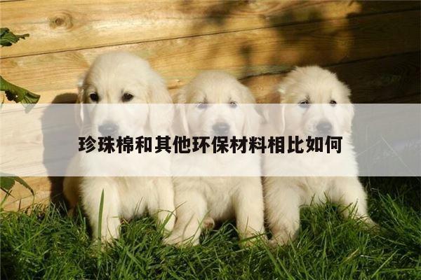 珍珠棉和其他环保材料相比如何