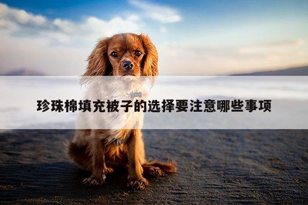 珍珠棉填充被子的选择要注意哪些事项